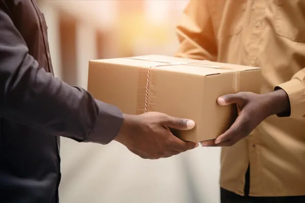 Parcel Delivery Img
