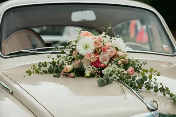 Wedding Transfer Img